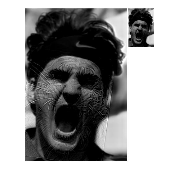 Hybrid image with cutoff value of 1