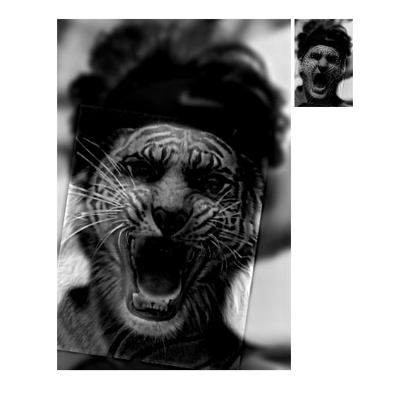 Hybrid image with cutoff value of 2