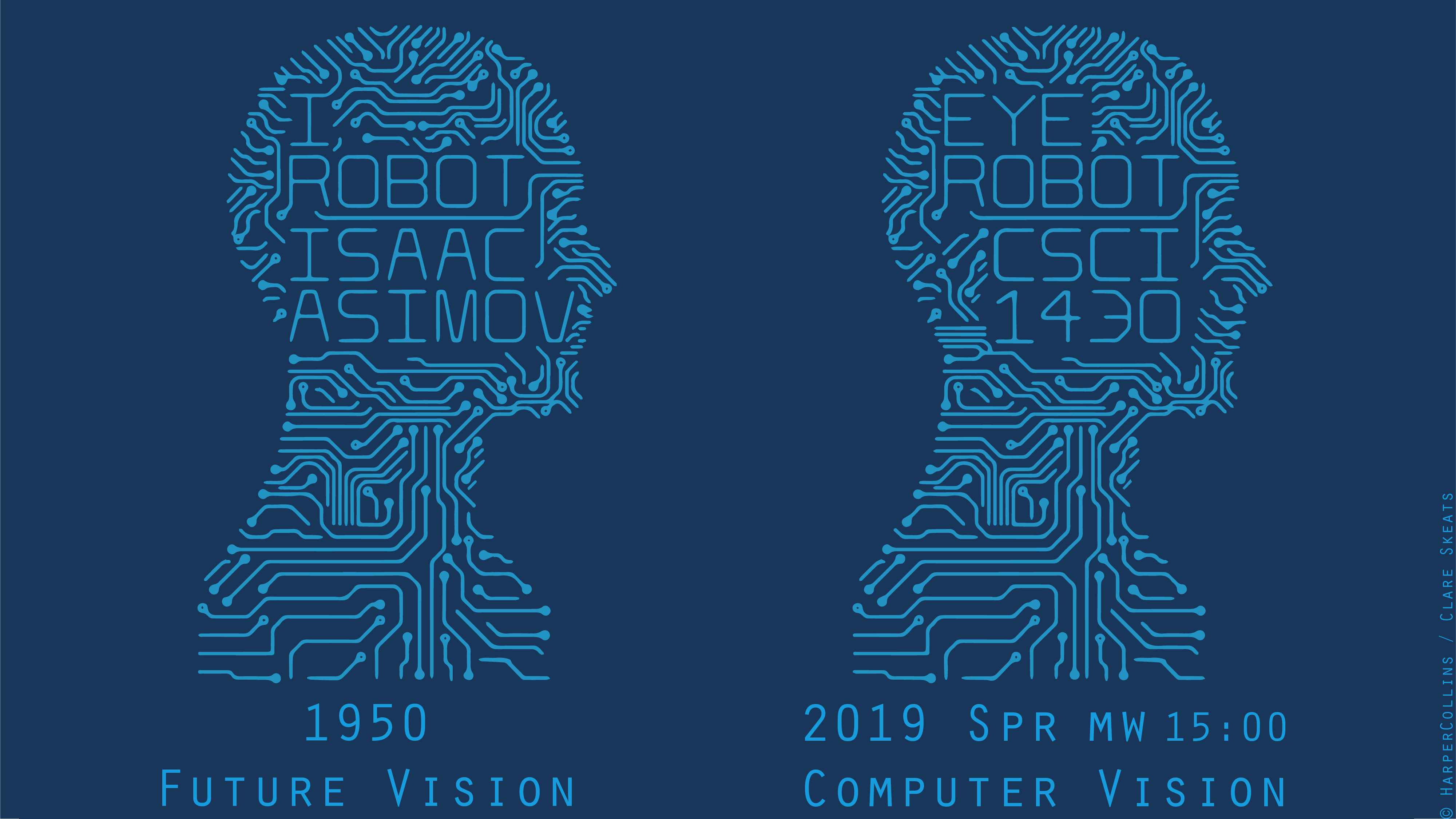 Safr Computer Vision.