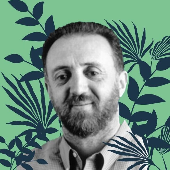 Sorin Istrail (Professor) photo
