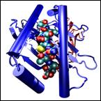 Immunogenomics