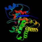 Protein Folding