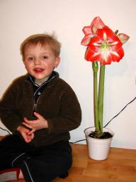 florist.jpg