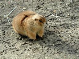 alittlefriend.jpg
