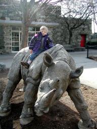 myrhino.jpg