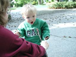 A stick