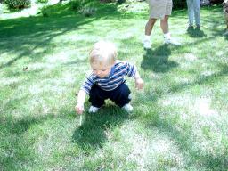 Combing grass