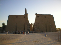 P1010036