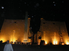 P1010042