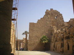 P1010114