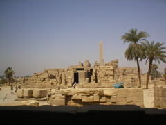P1010137