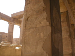P1010139