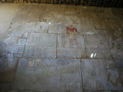 P1010159