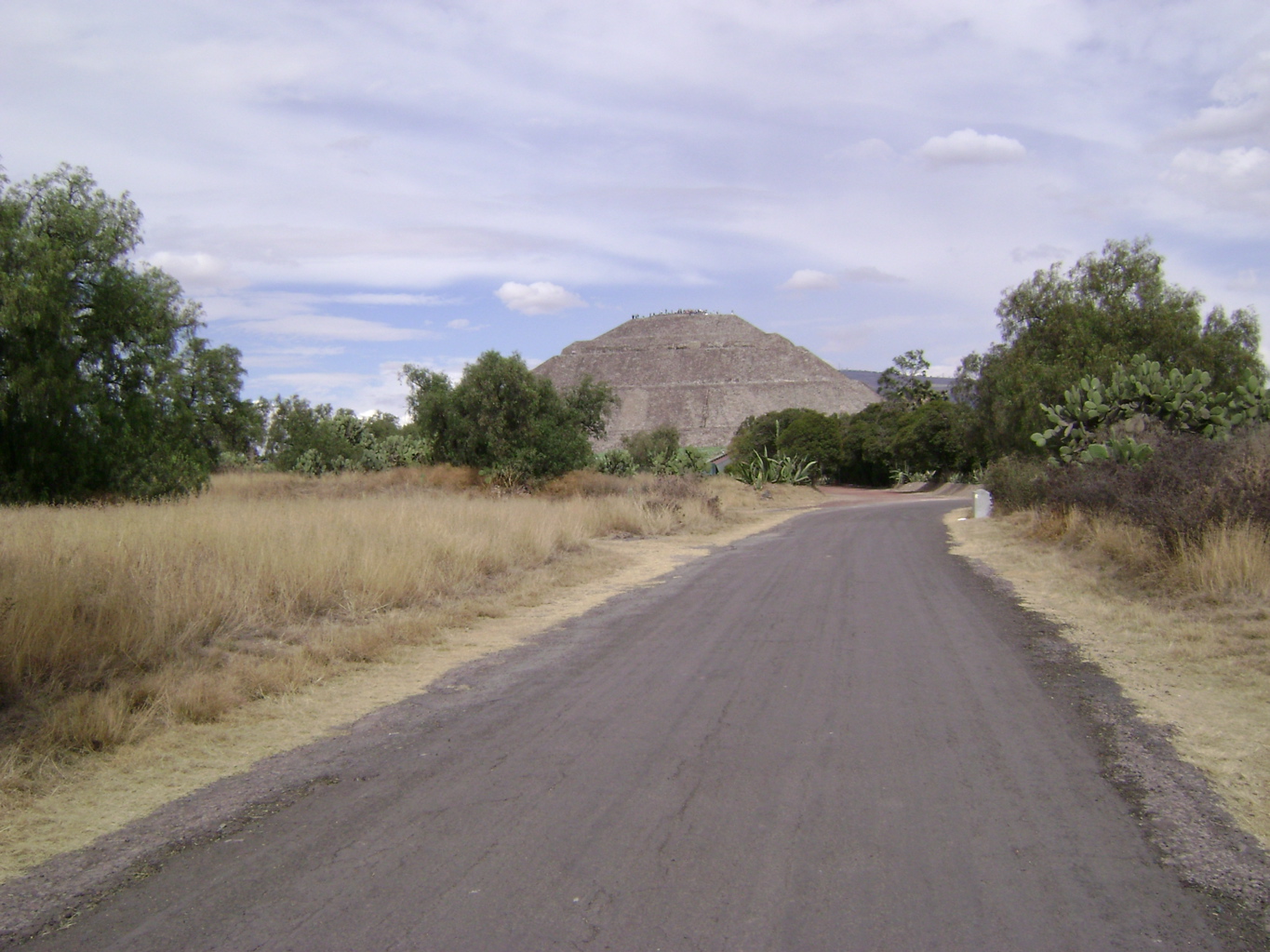 DSC00010