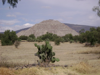 DSC00009