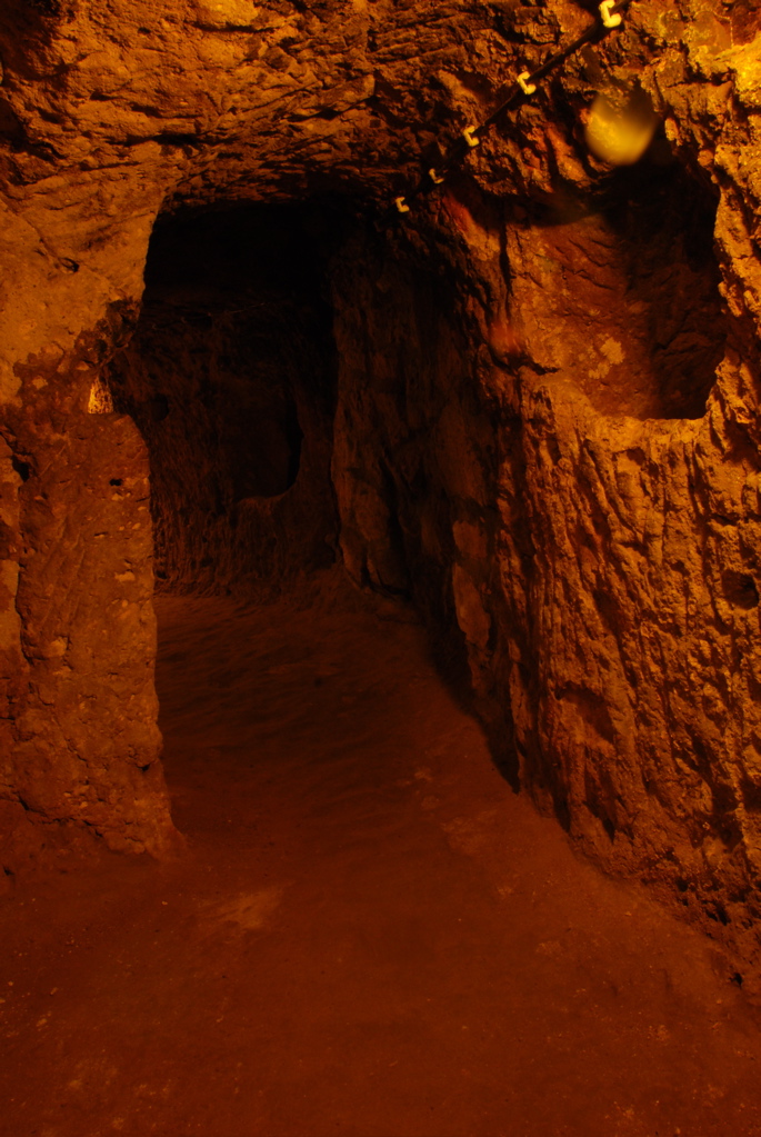 day7_DSC_0013