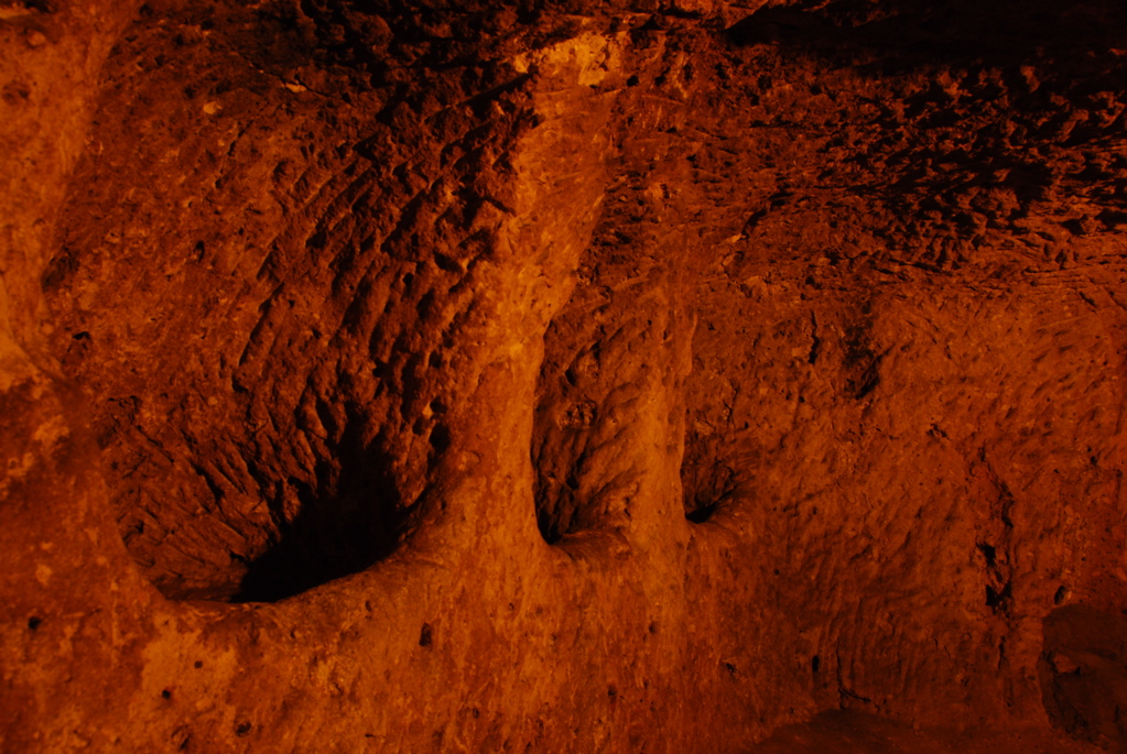 day7_DSC_0018