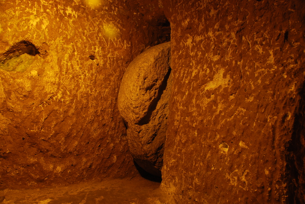 day7_DSC_0050