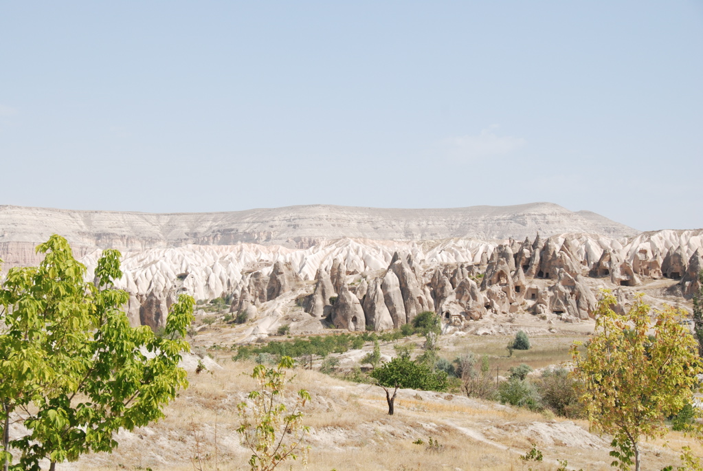 day5_dsc_0007