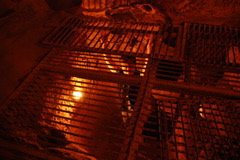 day6_dsc_0087