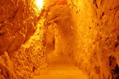 day7_DSC_0003