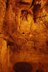 day7_DSC_0019