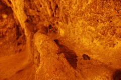 day7_DSC_0029