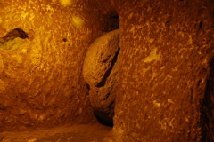day7_DSC_0050