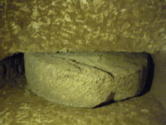 day7_dscn0232