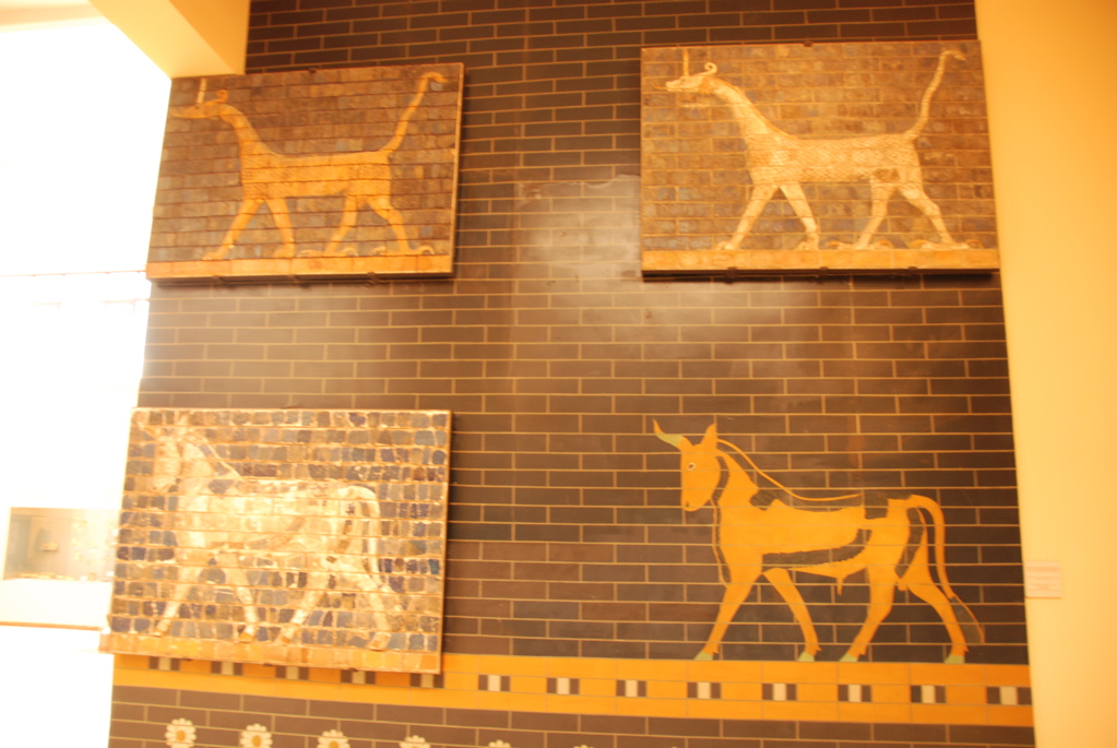 day2_DSC_0014