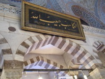 day1_dscn0045