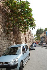 day4_dsc_0050