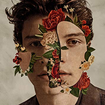 shawn cover