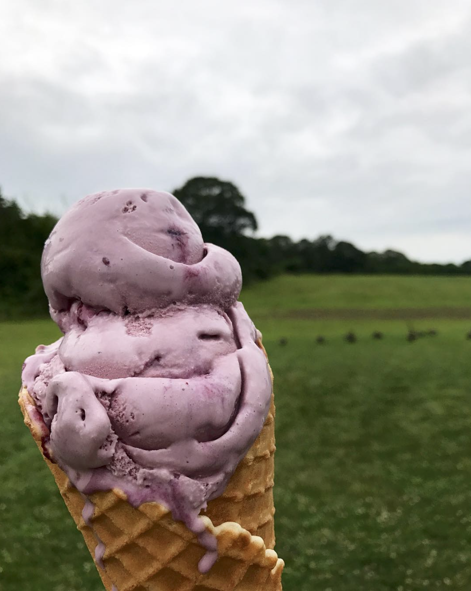 Berry Ice Cream