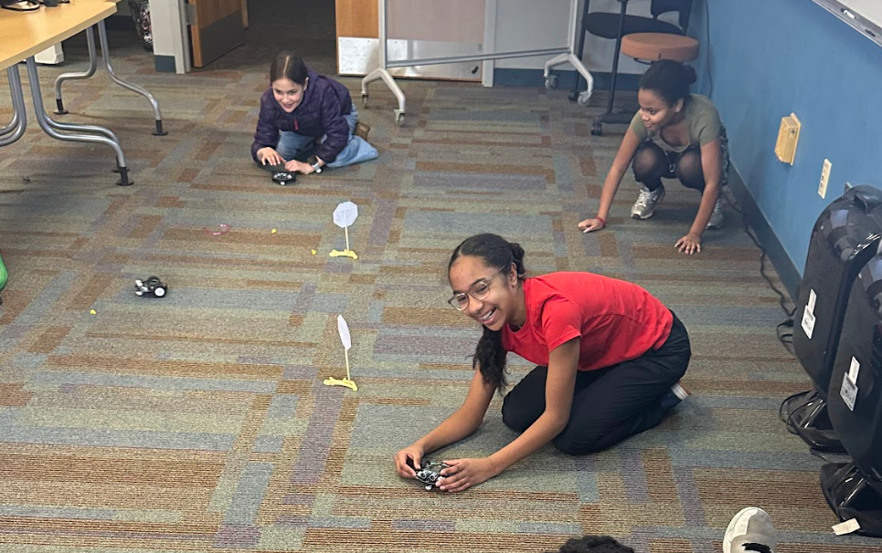 Microbit projects in action