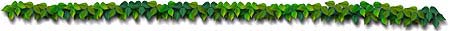 leafbar