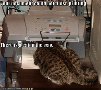 printer cat
