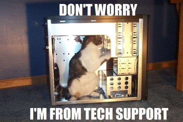 tech kitty