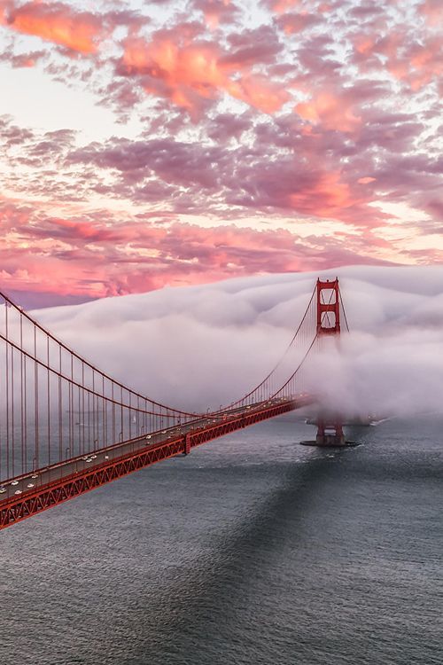 Discovering the Golden Gate Bridge