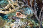 DSC_0025 (1)