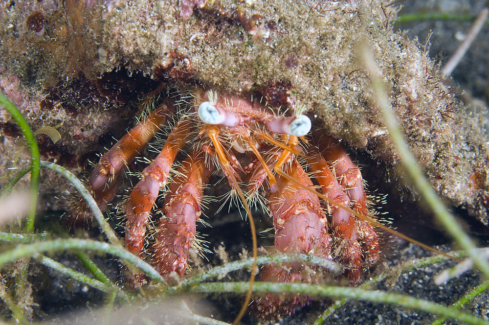 2DSC_0062