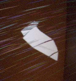 bat1.jpg