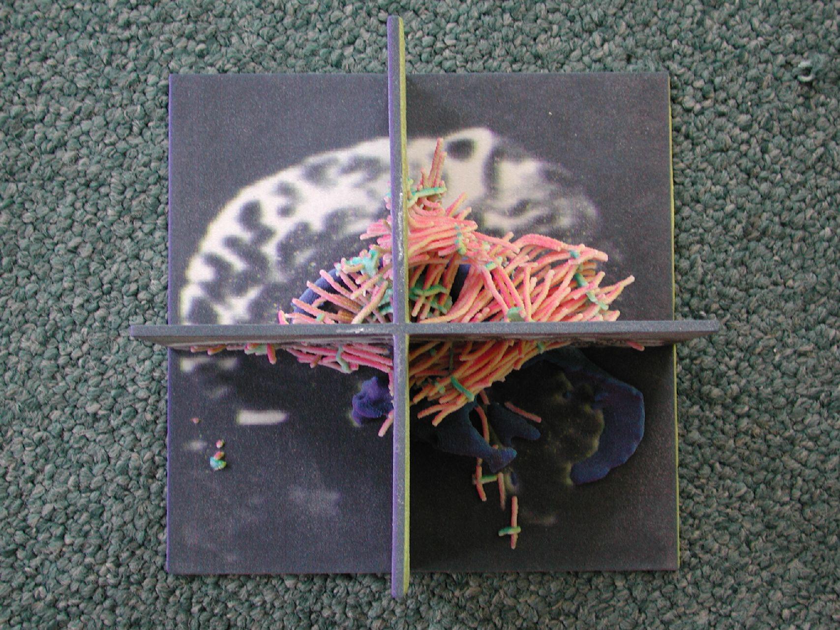 Color Rapid Prototyping for Diffusion Tensor {MRI} Visualization