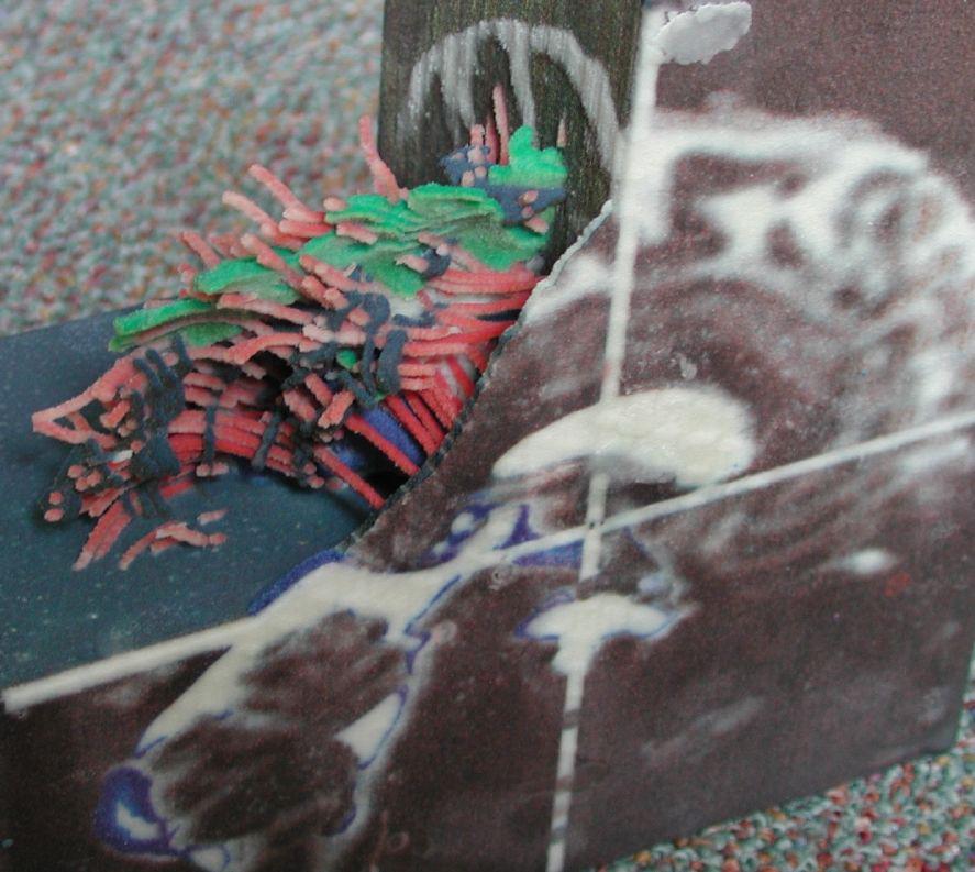 Color Rapid Prototyping for Diffusion Tensor {MRI} Visualization