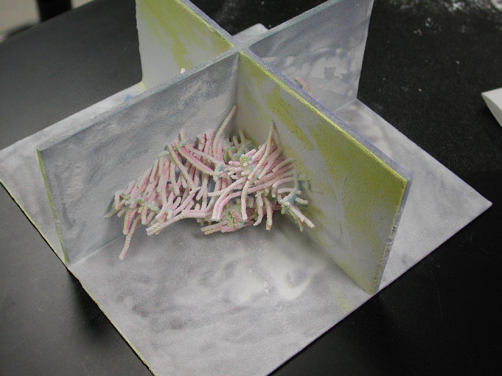 Color Rapid Prototyping for Diffusion Tensor {MRI} Visualization