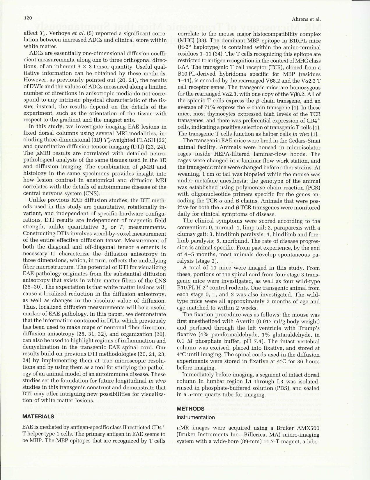 {MR} Microscopy of Transgenic Mice that Spontaneously Aquire Experimental Allergic Encephalomyelitis
