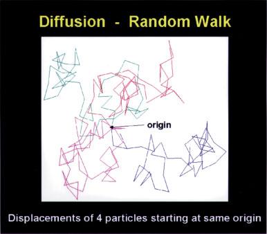 The Basis of Anisotropic Water Diffusion in the Nervous System - A Technical Review