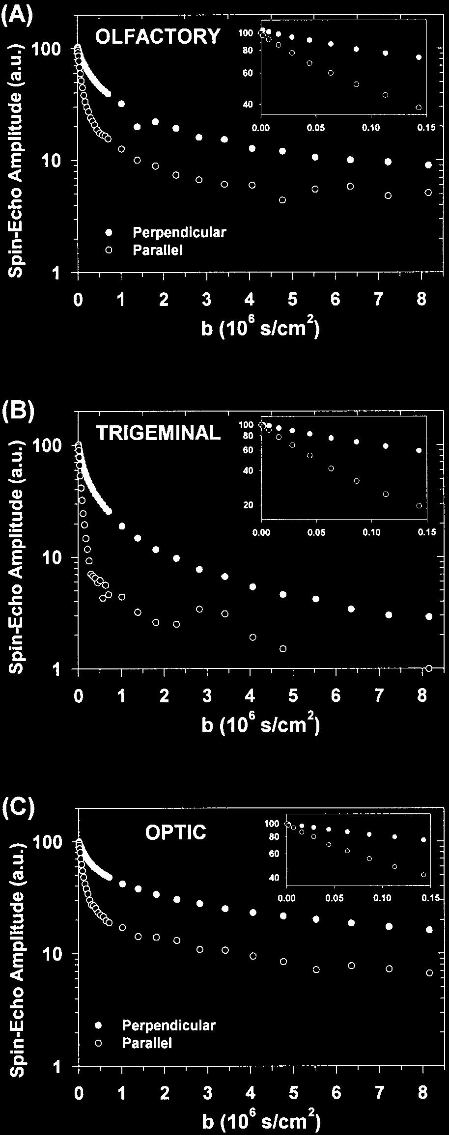 The Basis of Anisotropic Water Diffusion in the Nervous System - A Technical Review