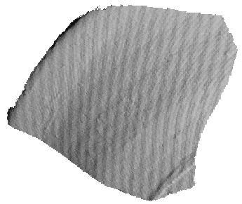Assembling Virtual Pots from {3D} Measurements of their Fragments