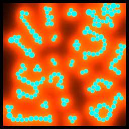 Cellular Texture Generation